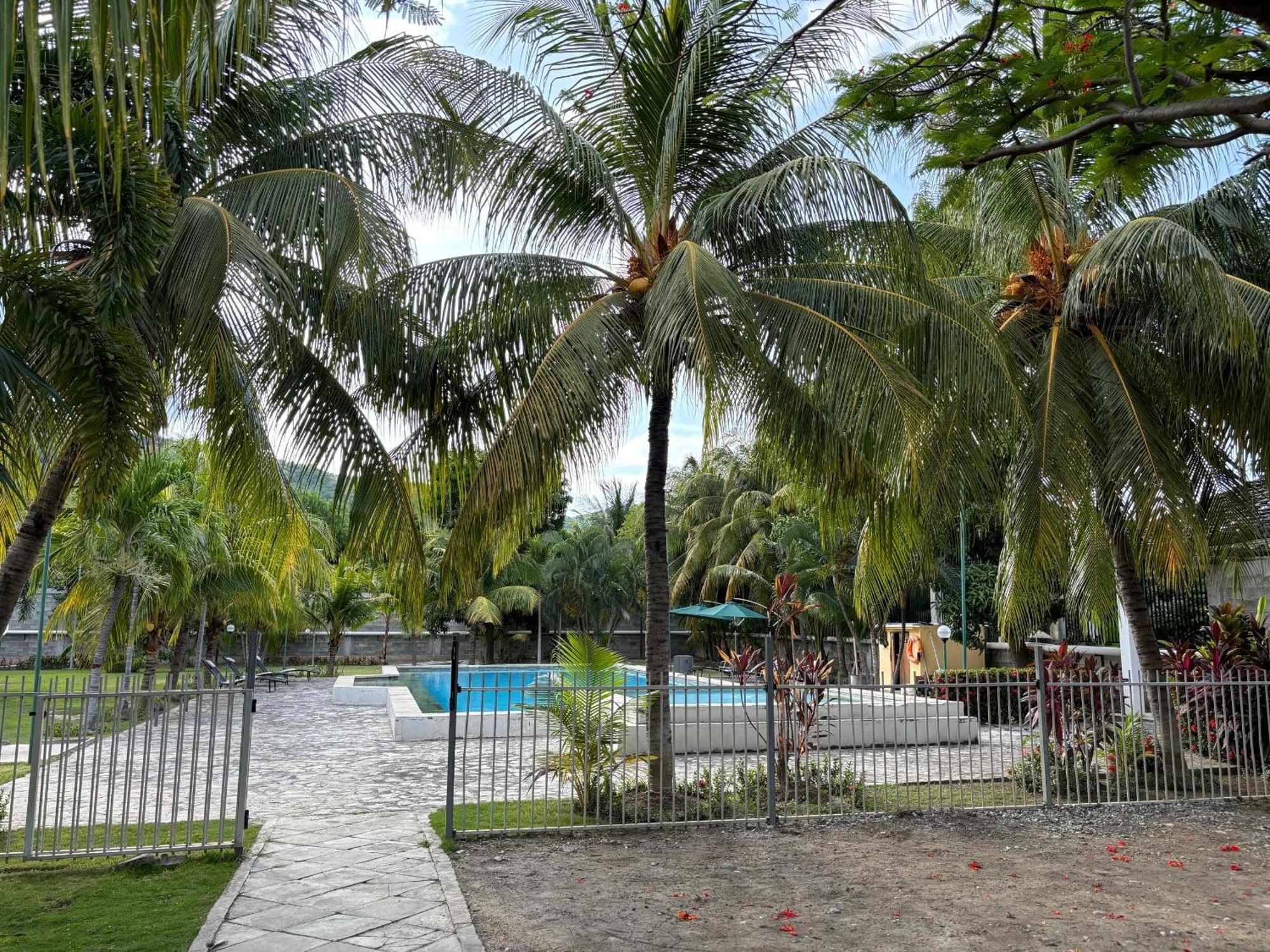 Palm Malinamoc Hotel Ділі Екстер'єр фото