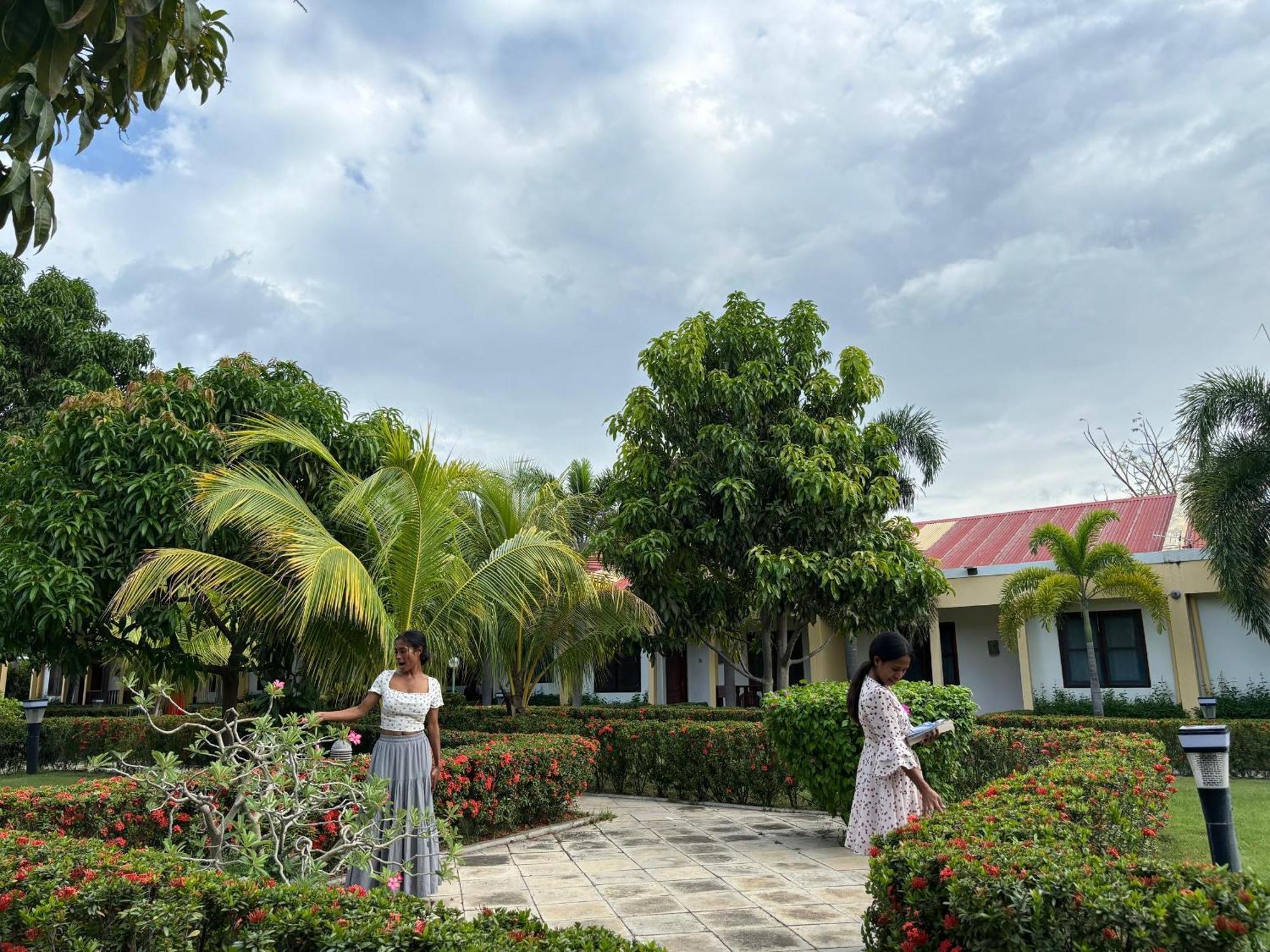 Palm Malinamoc Hotel Ділі Екстер'єр фото