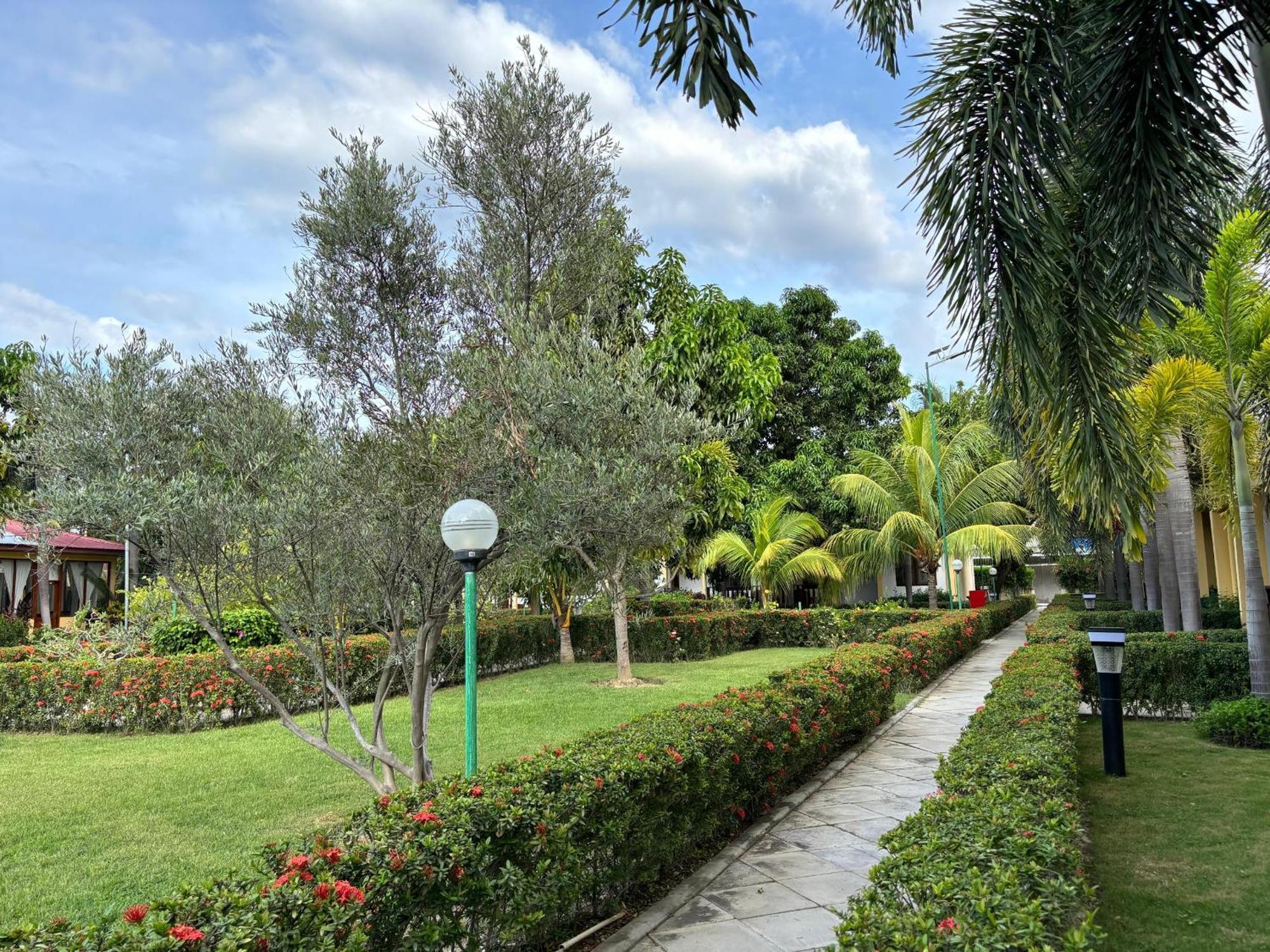 Palm Malinamoc Hotel Ділі Екстер'єр фото