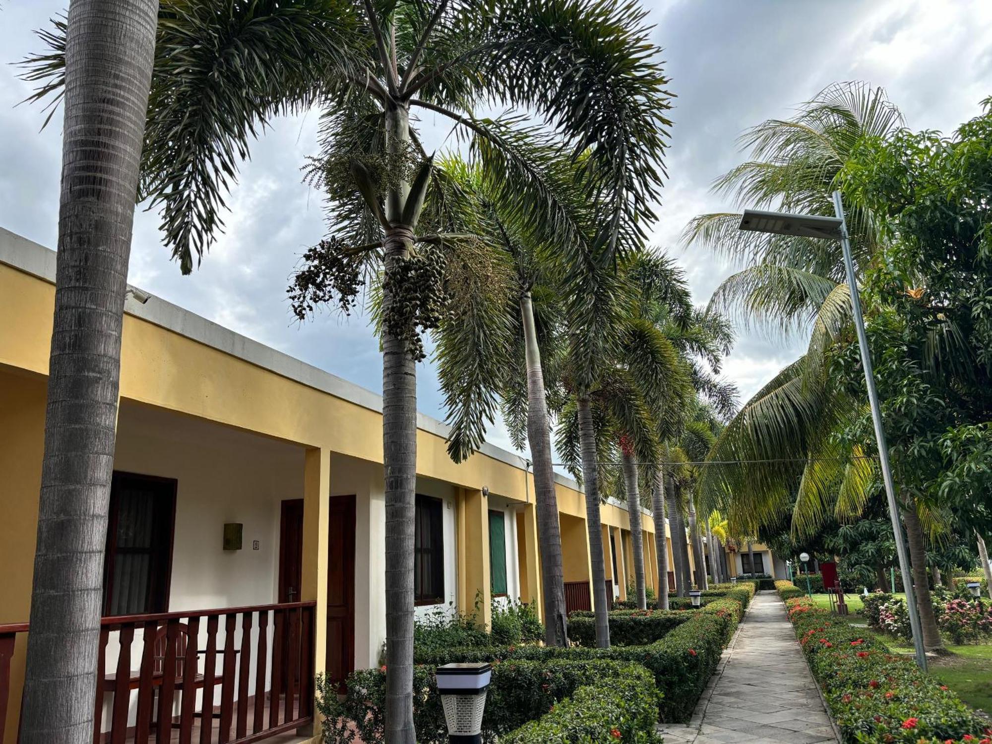 Palm Malinamoc Hotel Ділі Екстер'єр фото